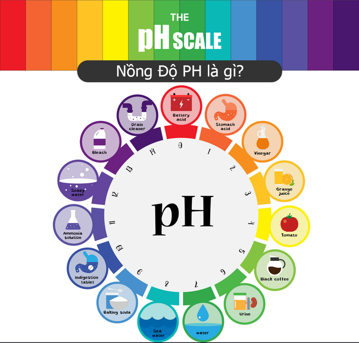 Nồng độ pH là gì
