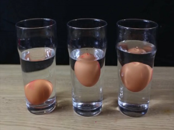 Thí nghiệm thú vị giữa trứng và nước