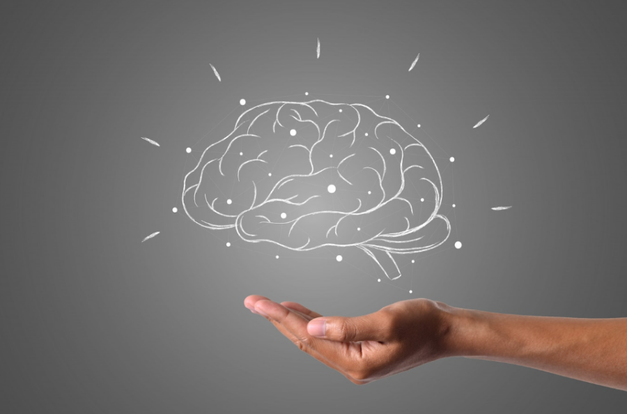 Hợp chất catechin có khả năng tăng cường sức khỏe trí não cho con người