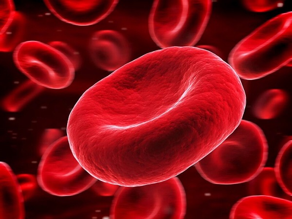 Hội chứng tăng độ nhớt của máu là gì?