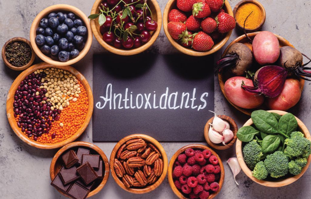 antioxidant là gì