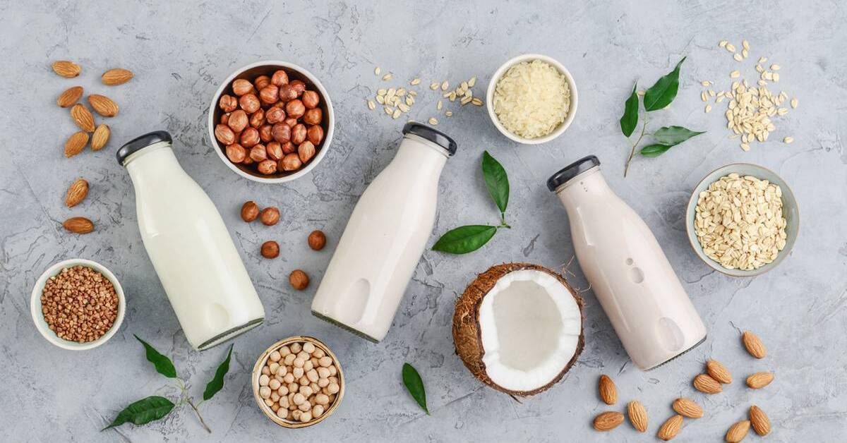 Sữa hạt chứa nhiều chất xơ hỗ trợ hệ tiêu hóa khỏe mạnh