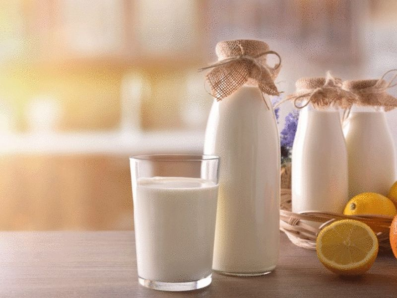 Bạn nên uống sữa không đường để quá trình giảm cân hiệu quả hơn