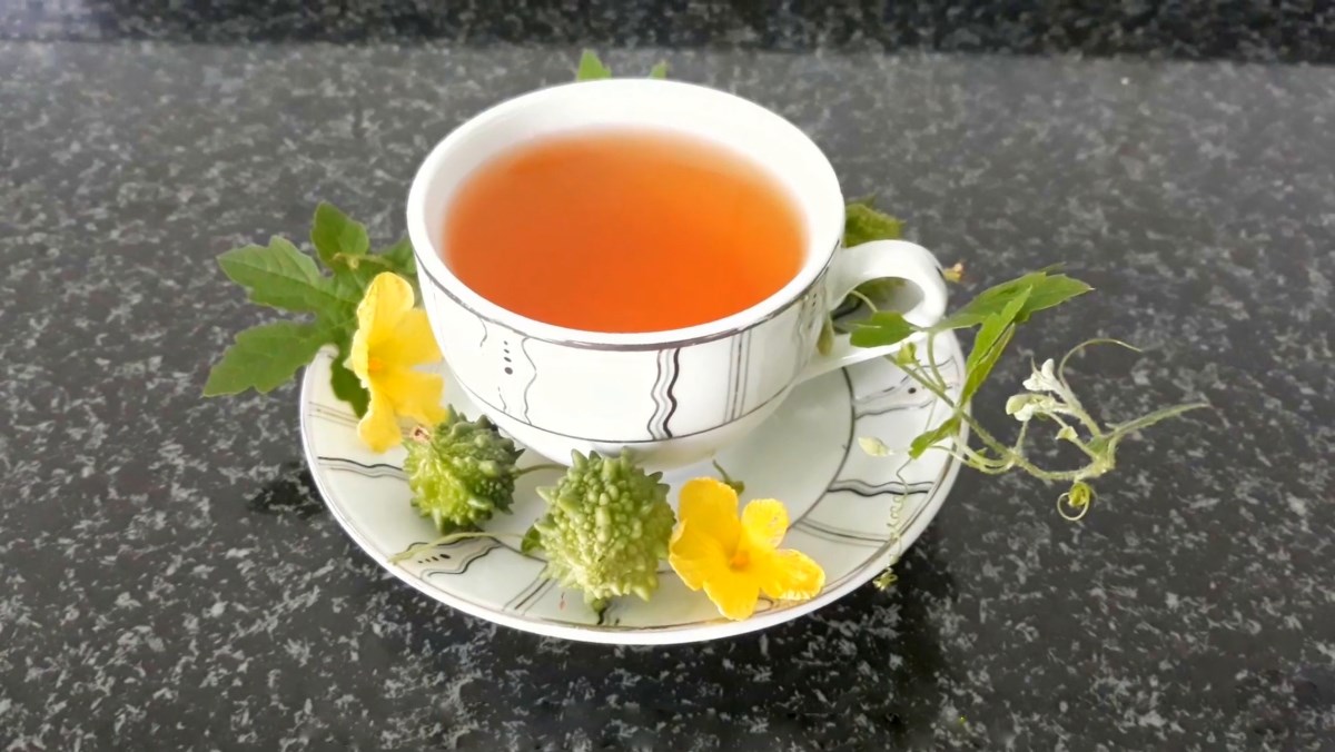 Không chỉ góp mặt trong các món ăn, trà khổ qua cũng rất tốt cho sức khỏe 