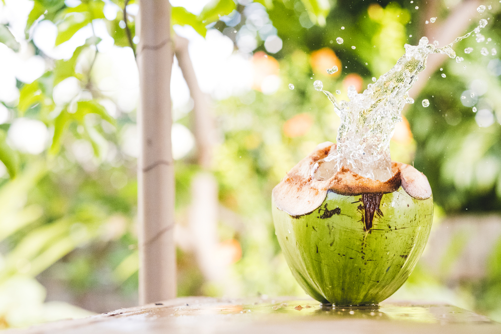 Bị sốt có nên uống nước dừa không bạn đã biết?
