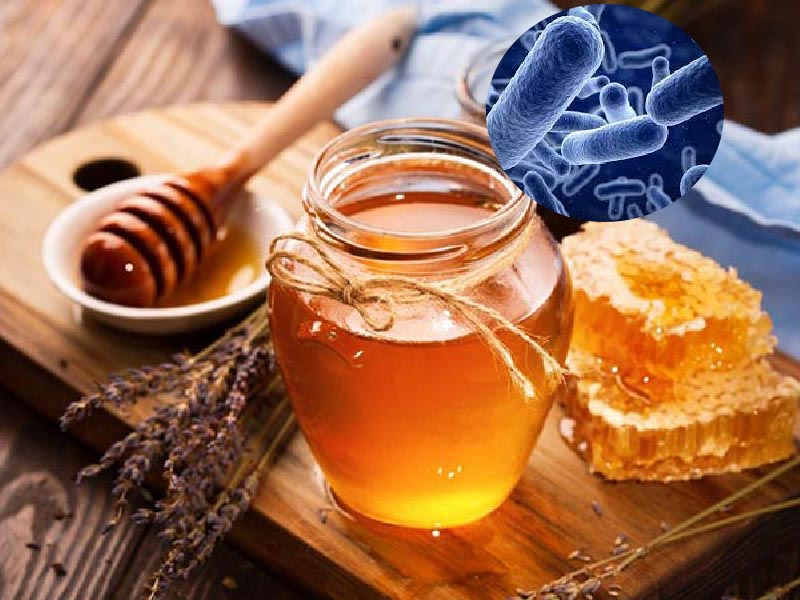 Bạn có thể uống mật ong với bột nghệ hoặc nghệ tươi đều được
