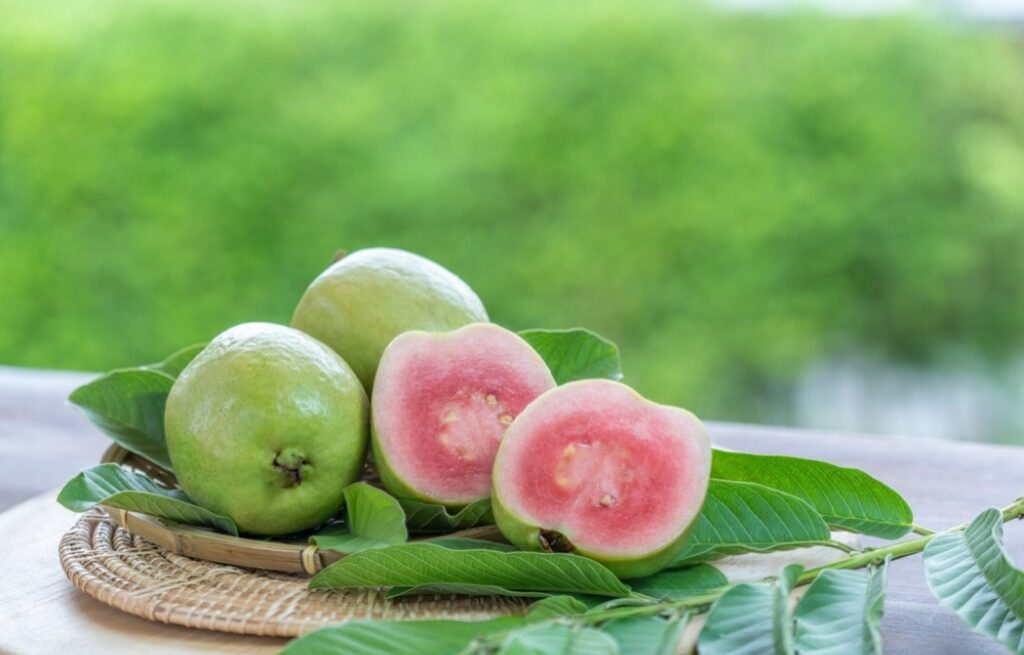 Bị tiểu đường ăn ổi được không? - ảnh 1 bi tieu duong an oi duoc khong? - anh 1