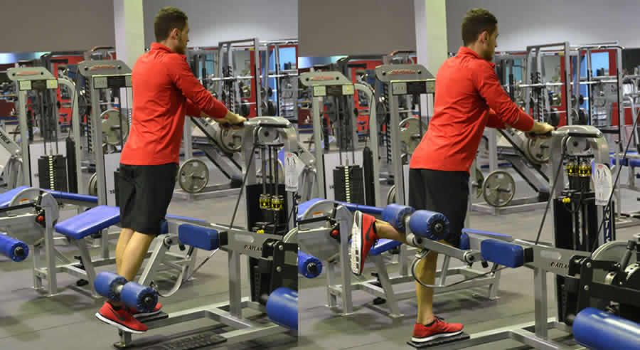 Standing Leg Curl là bài tập kháng lực tác động lên cơ mông và bắp chân Standing Leg Curl là bài tập kháng lực tác động lên cơ mông và bắp chân