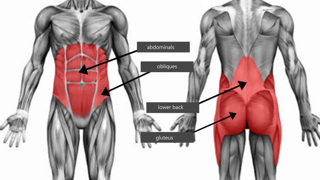 Core muscles là các nhóm cơ nằm sâu bên trong, thuộc trung tâm cơ thể
