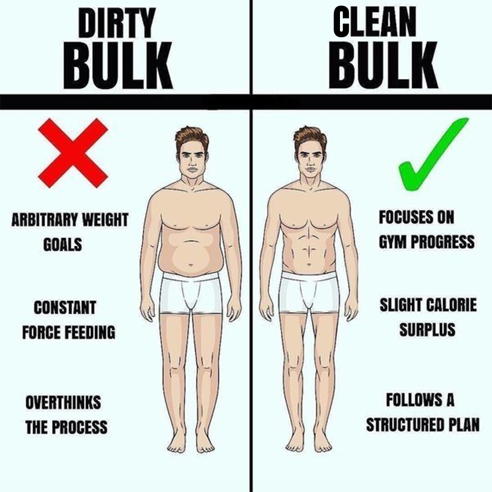 Bulking có 2 hình thức phổ biến: Clean bulk và Dirty bulk