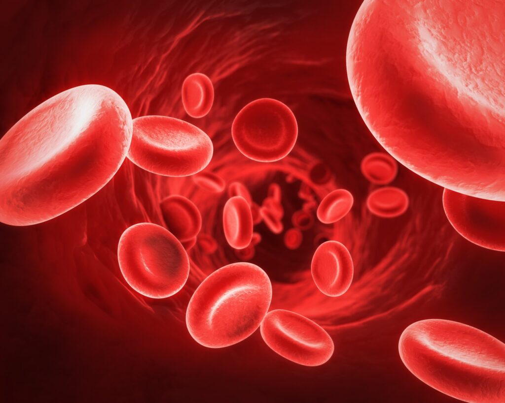 Hiến máu giúp kích thích khả năng tái tạo máu