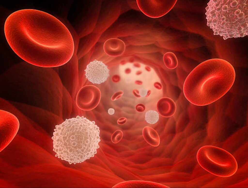 Nhóm máu A có nguy cơ mắc ung thư dạ dày cao hơn so với các nhóm máu khác