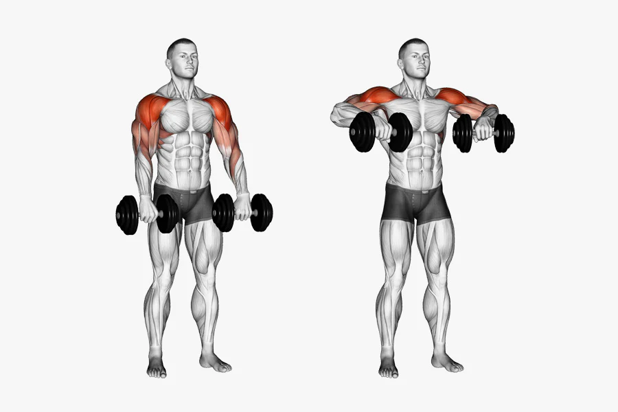 Dumbbell upright row