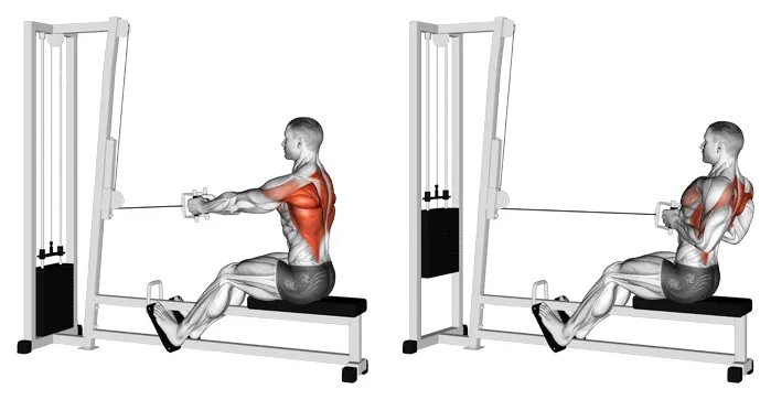 Seated cable face pull