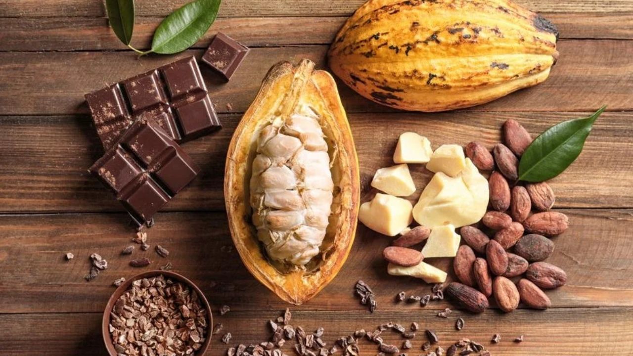 Socola được làm từ quả cacao