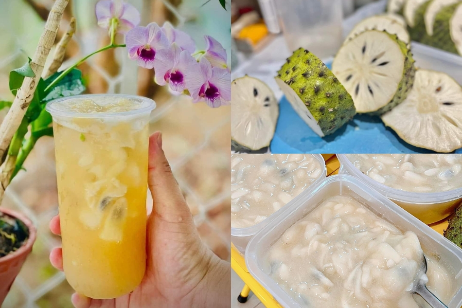 Trà mãng cầu có tác dụng gì? Cách làm trà mãng cầu đơn giản