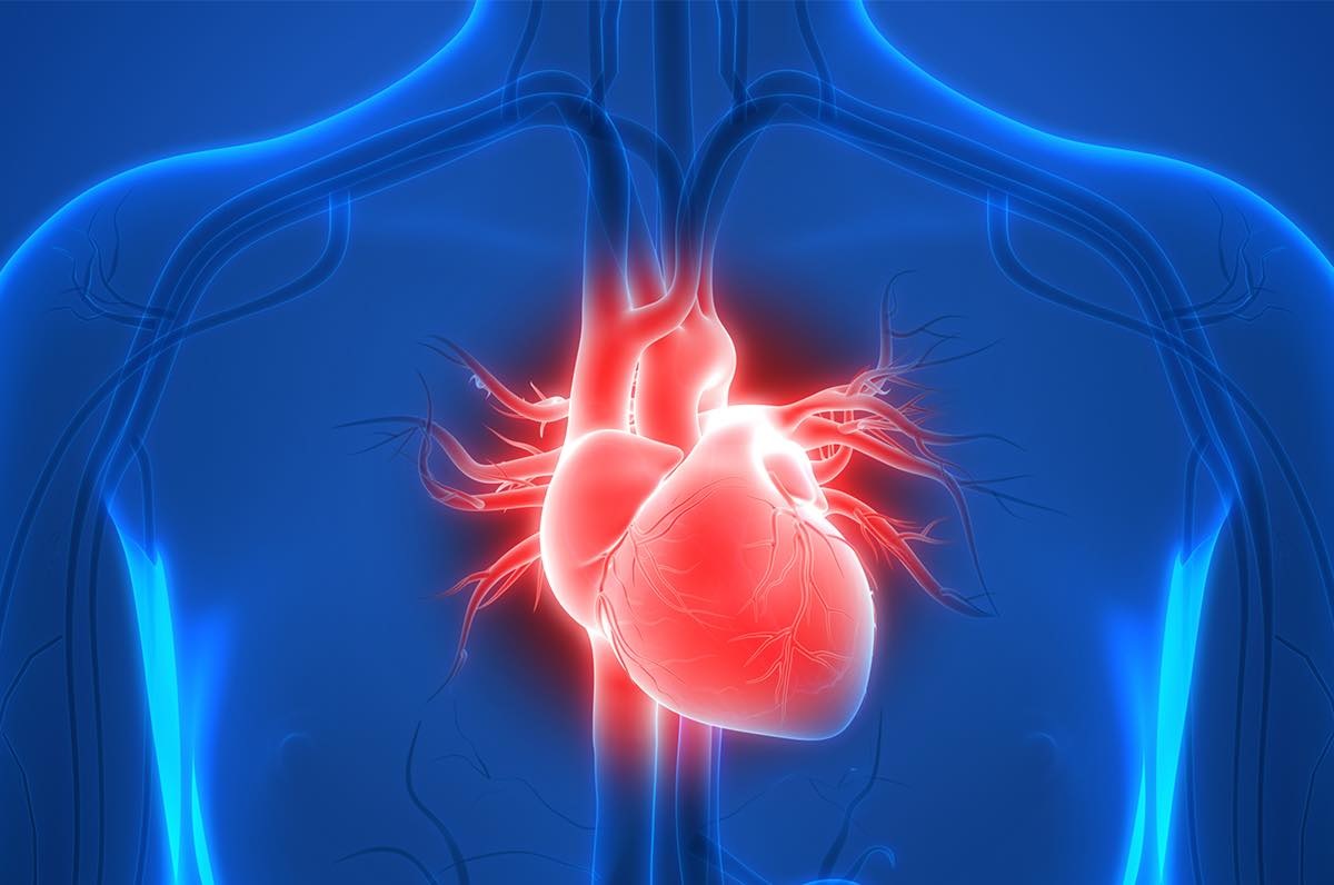 Vitamin PP có thể giúp giảm nguy cơ mắc bệnh tim
