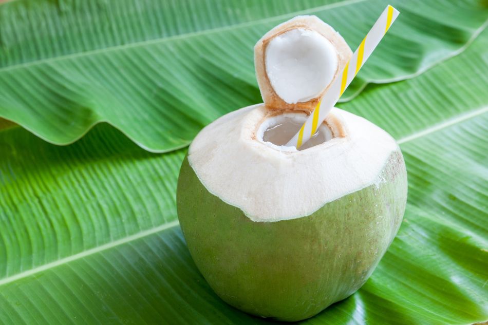 Dừa có tác dụng cấp nước, giảm cân và đẹp da