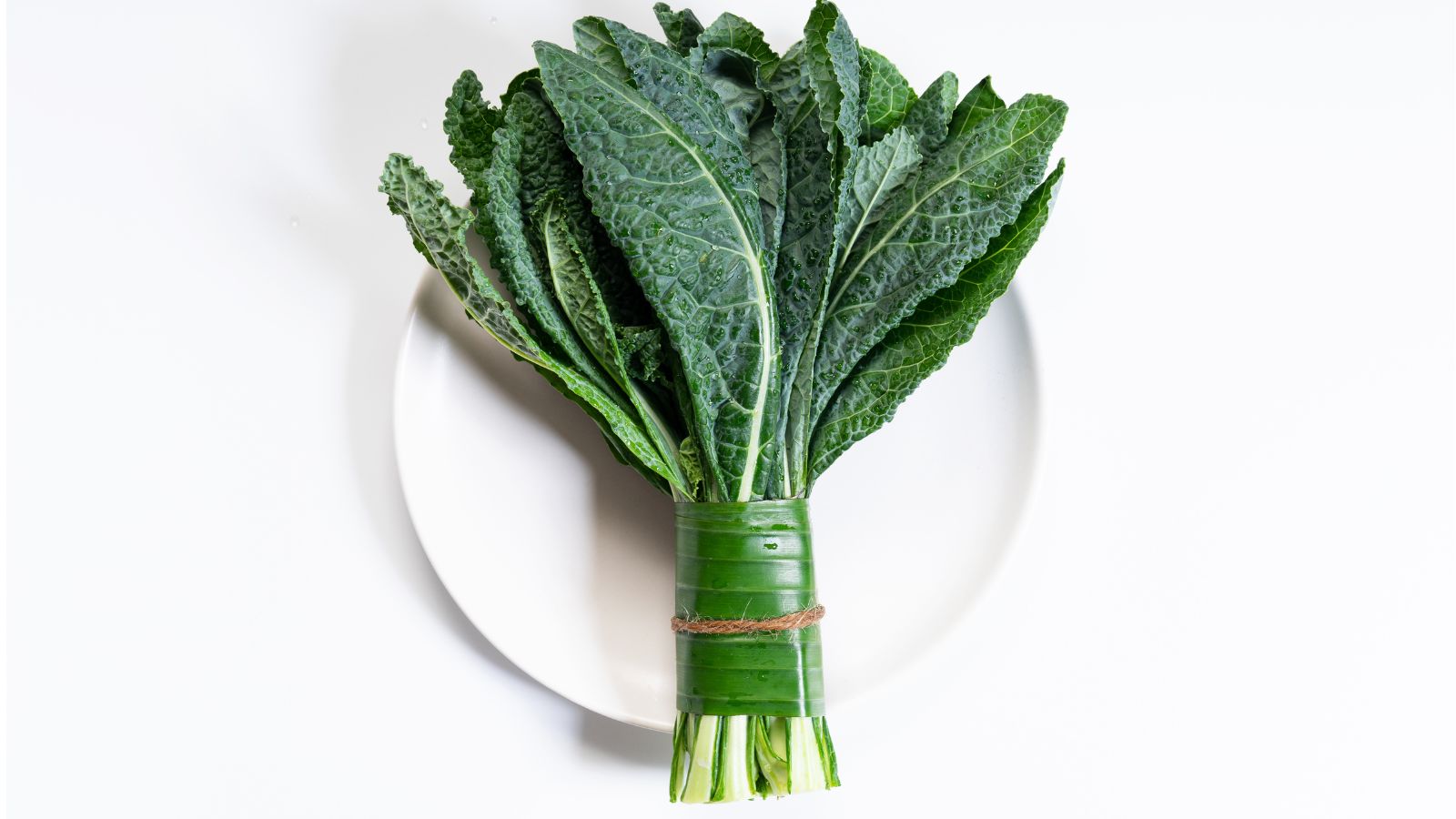 Lacinato Kale, hay còn được biết đến như bắp cải đen hoặc cải xoăn khủng long