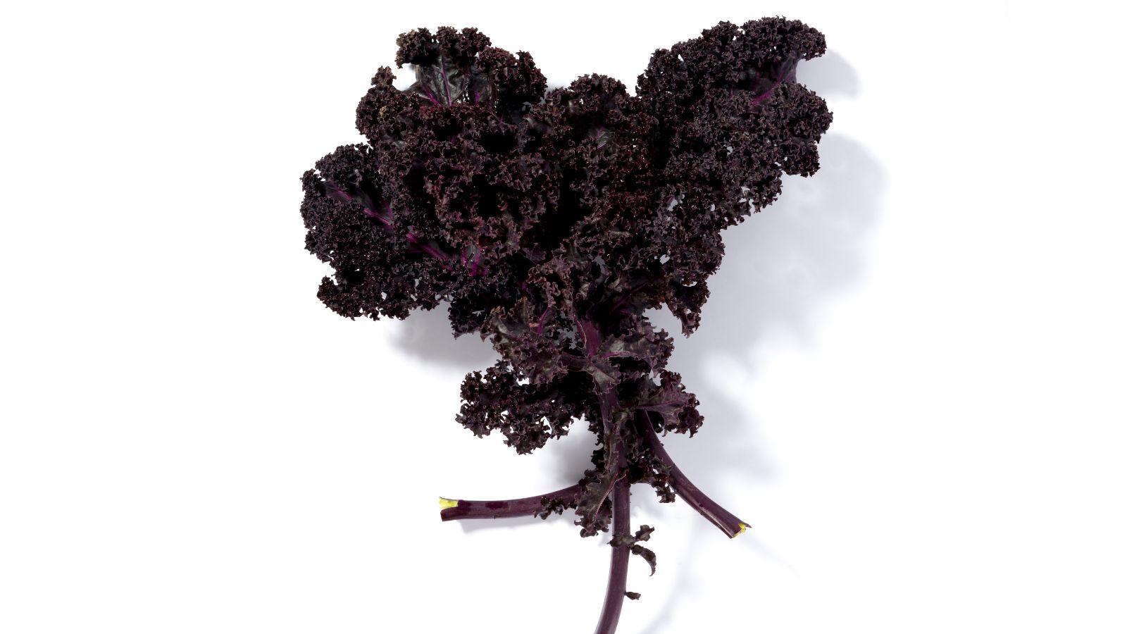 Cải Redbor Kale dùng chế biến cùng các món rau ăn kèm salad hoặc nấu súp.