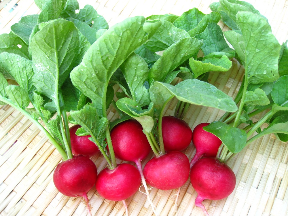 Củ cải đường ở Việt Nam là loại củ màu đỏ, hình tròn thường dùng chế biến các món ăn