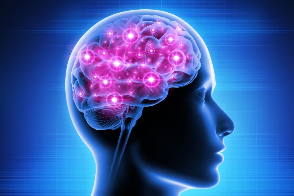 Choline trong hạt đậu gà có khả năng tăng cường trí não