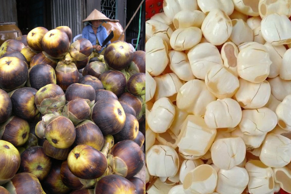 Thốt nốt được trồng phổ biến ở An Giang