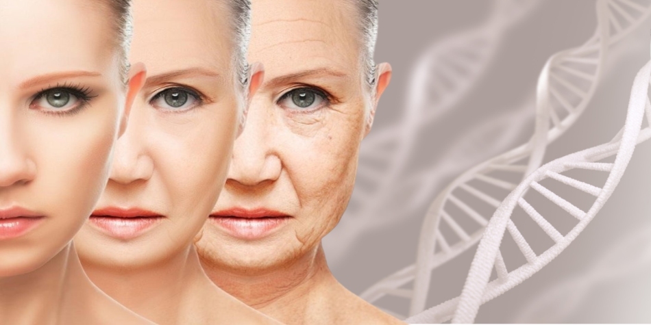 Collagen giúp chống lão hóa da và đàn hồi da