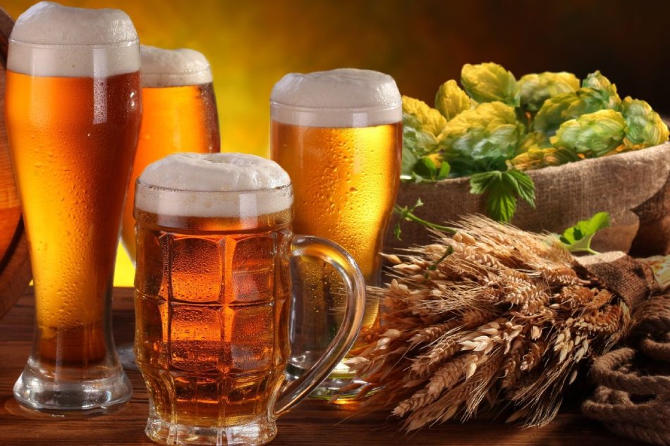 Trong bia rất giàu vitamin B, B3, B5, acid folid và chất xơ Trong bia rất giàu vitamin B, B3, B5, acid folid và chất xơ