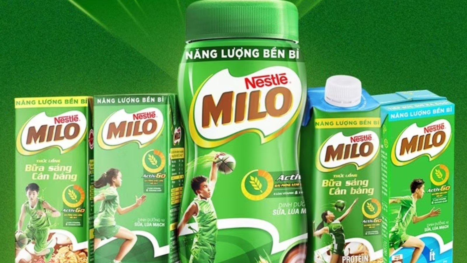 Sữa Milo chứa nhiều thành phần dinh dưỡng quan trọng cho sức khỏe và sự phát triển của trẻ