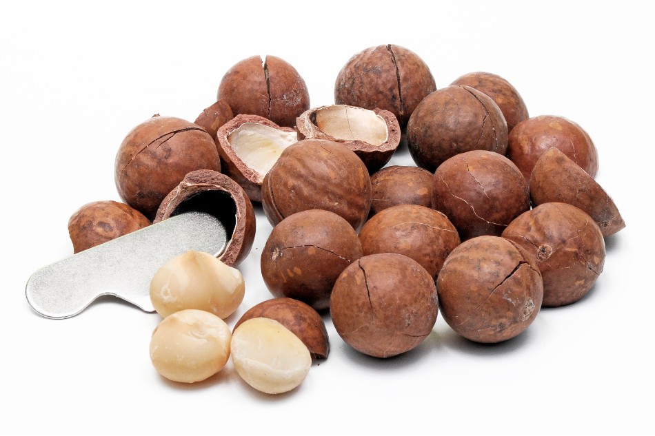 Macadamia nổi tiếng với nhiều lợi ích cho sức khỏe