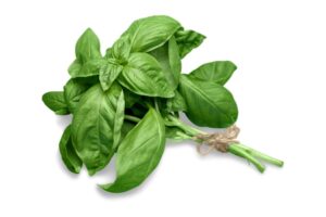 Basil là gì? Công dụng và cách sử dụng basil trong nấu ăn