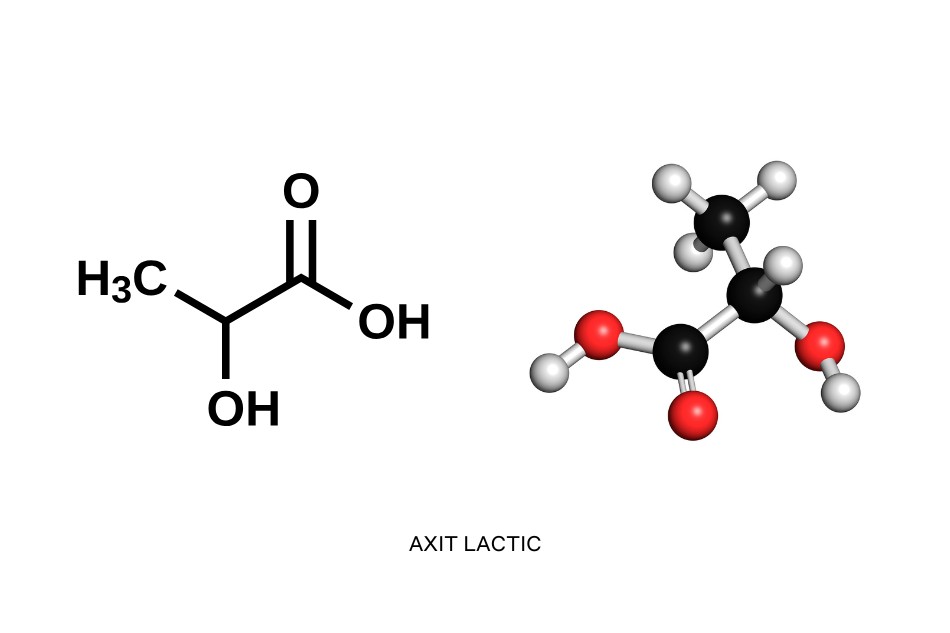 Axit Lactic là gì? Cách trung hòa Axit Lactic trong cơ bắp